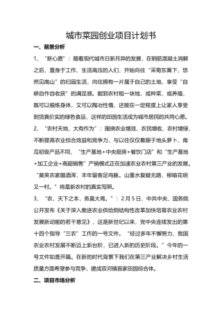 城市菜园项目创业计划书