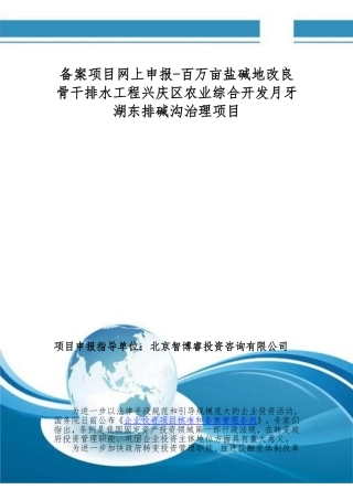 备案项目网上申报-百万亩盐碱地改良骨干排水工程兴庆区农业综合开发月牙湖东排碱沟治理项目(申报大纲)