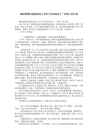 城市管理行政执法局上半年工作总结及下一步的工作计划-精选模板