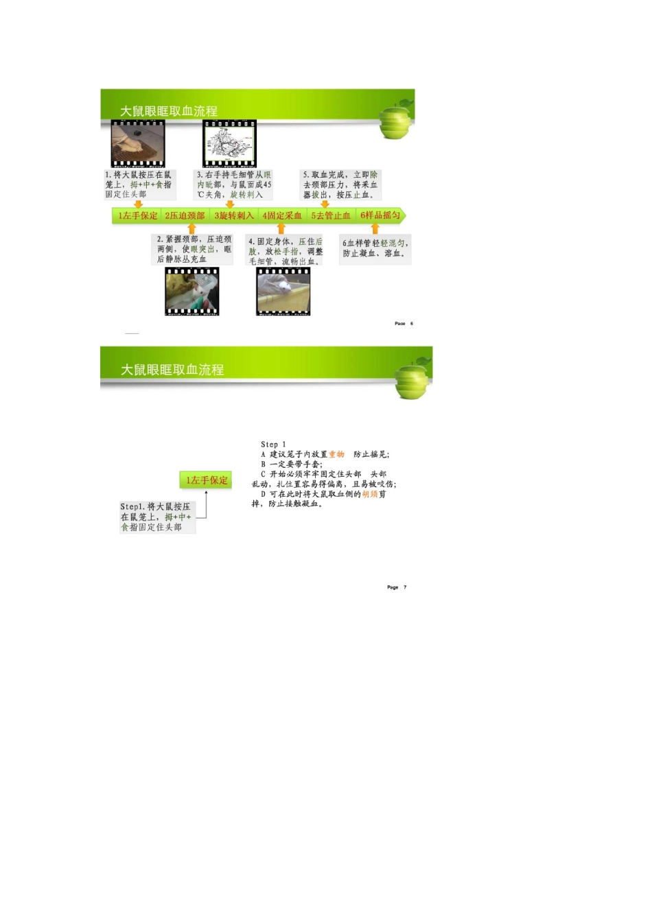 大鼠取血方法_第3页