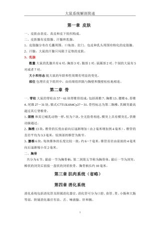 大鼠系统解剖简述