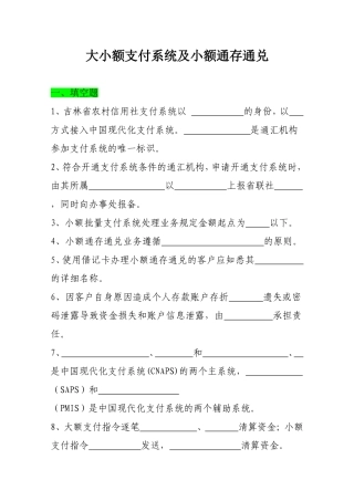 大小额支付系统复习题