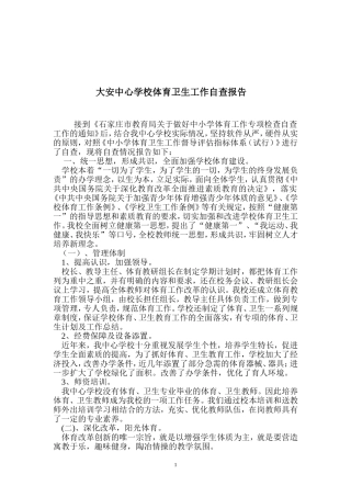 大安中心学校体育卫生工作自查报告