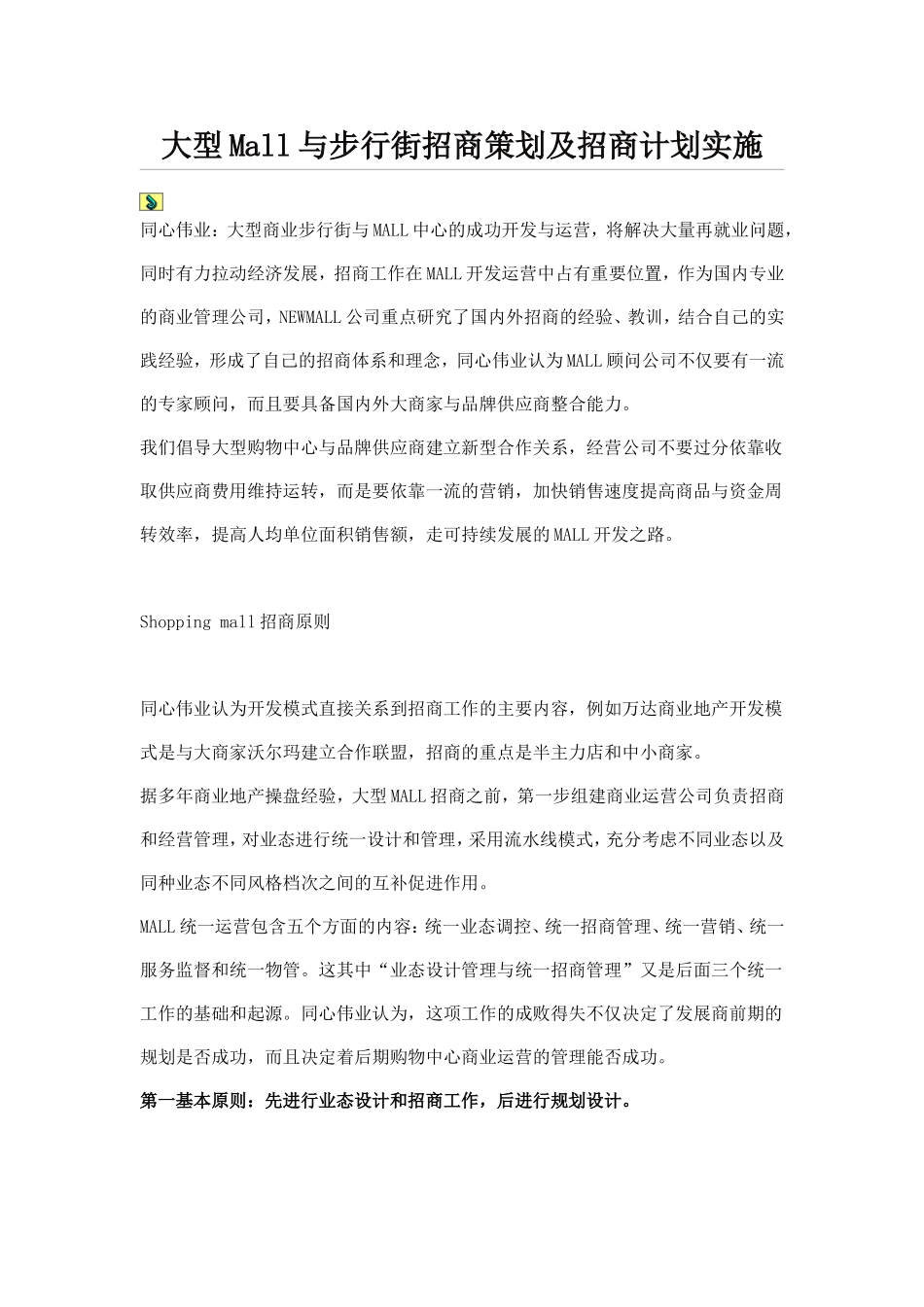 大型Mall与步行街招商策划及招商计划实施_第1页