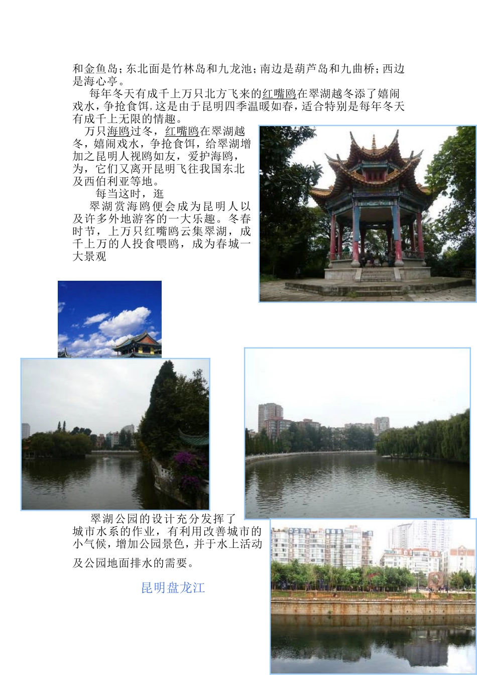 城市园林绿地调查_第3页