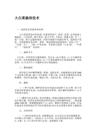 大白菜栽培技术