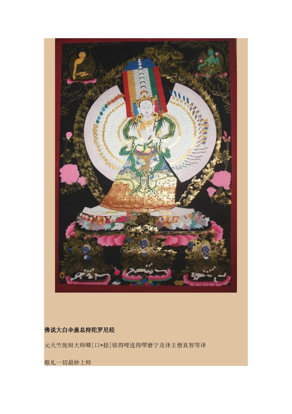 大白伞盖佛母陀罗尼经_第3页