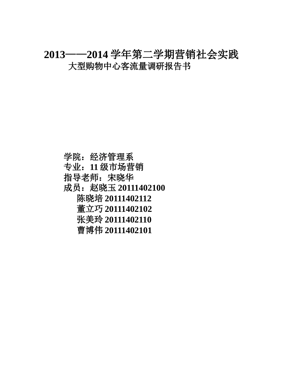大型购物中心客流量调研报告书_第1页