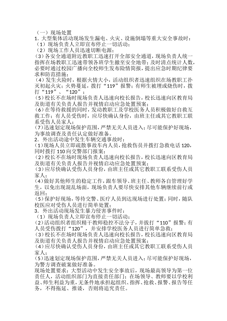 大型活动安全预案_第3页