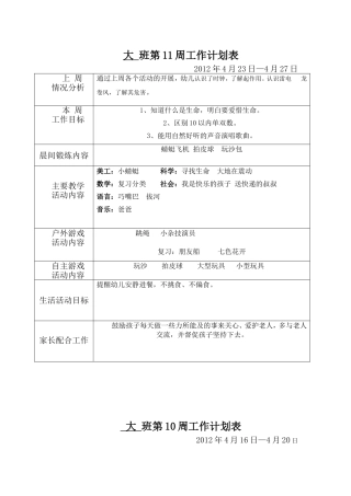 大-班第11周工作计划表