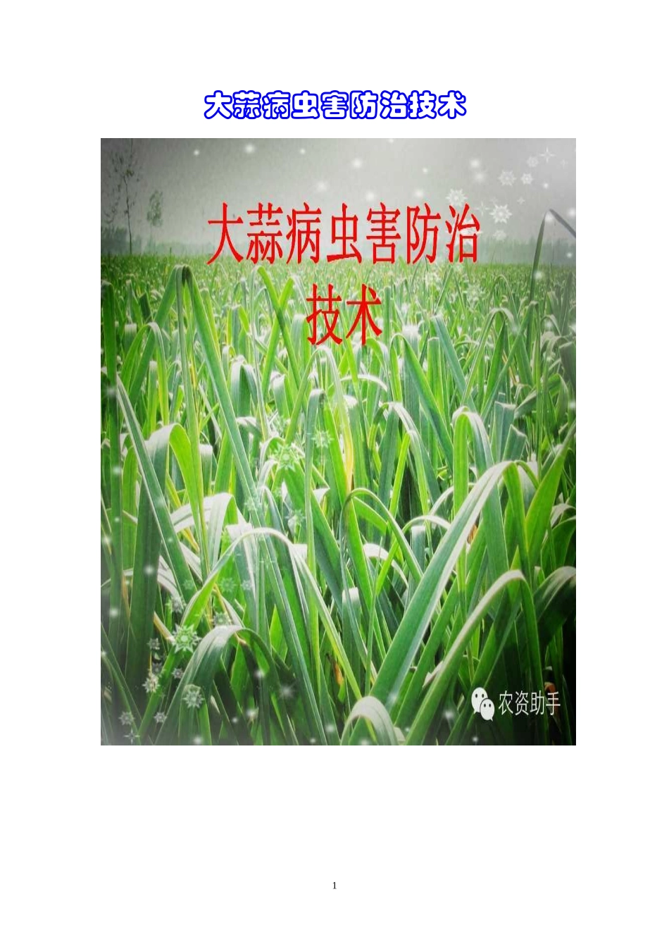 大蒜病虫害防治技术(袁)_第1页