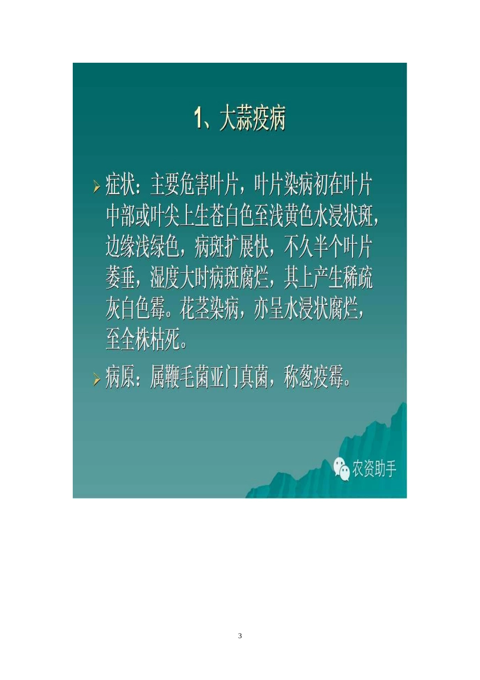大蒜病虫害防治技术(袁)_第3页