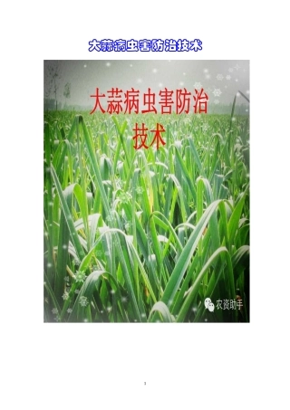 大蒜病虫害防治技术(袁)