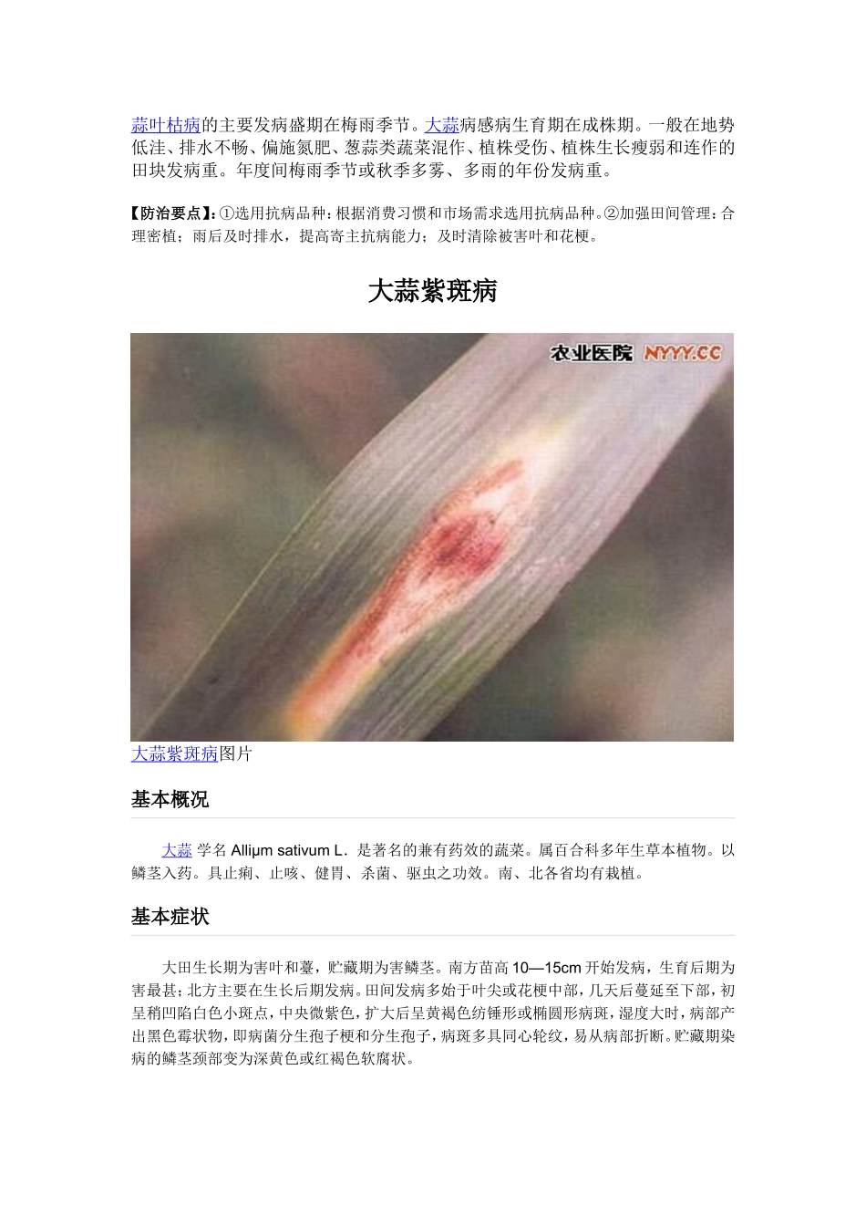 大蒜病虫害图谱及防治方法_第2页