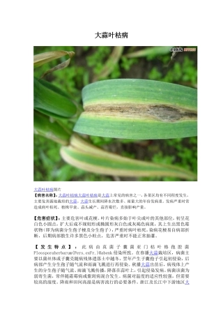 大蒜病虫害图谱及防治方法