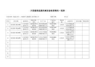 大型建筑起重机械设备检查情况一览表