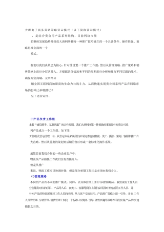 大唐电子商务营销策略营运模式