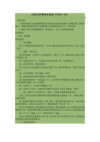 大班公开课绘本阅读《天生一对》