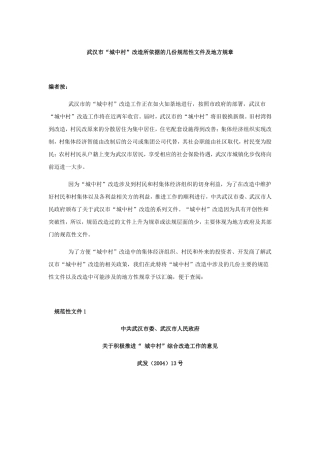 城中村法律文件Microsoft-Word-文档