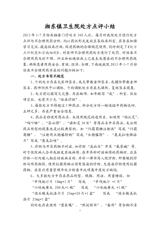 处方点评总结2013