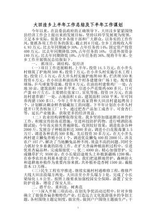 大田洼乡上半年工作总结及下半年工作谋划