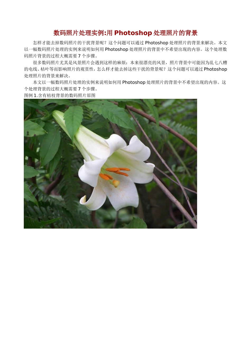 处理照片的背景_第1页