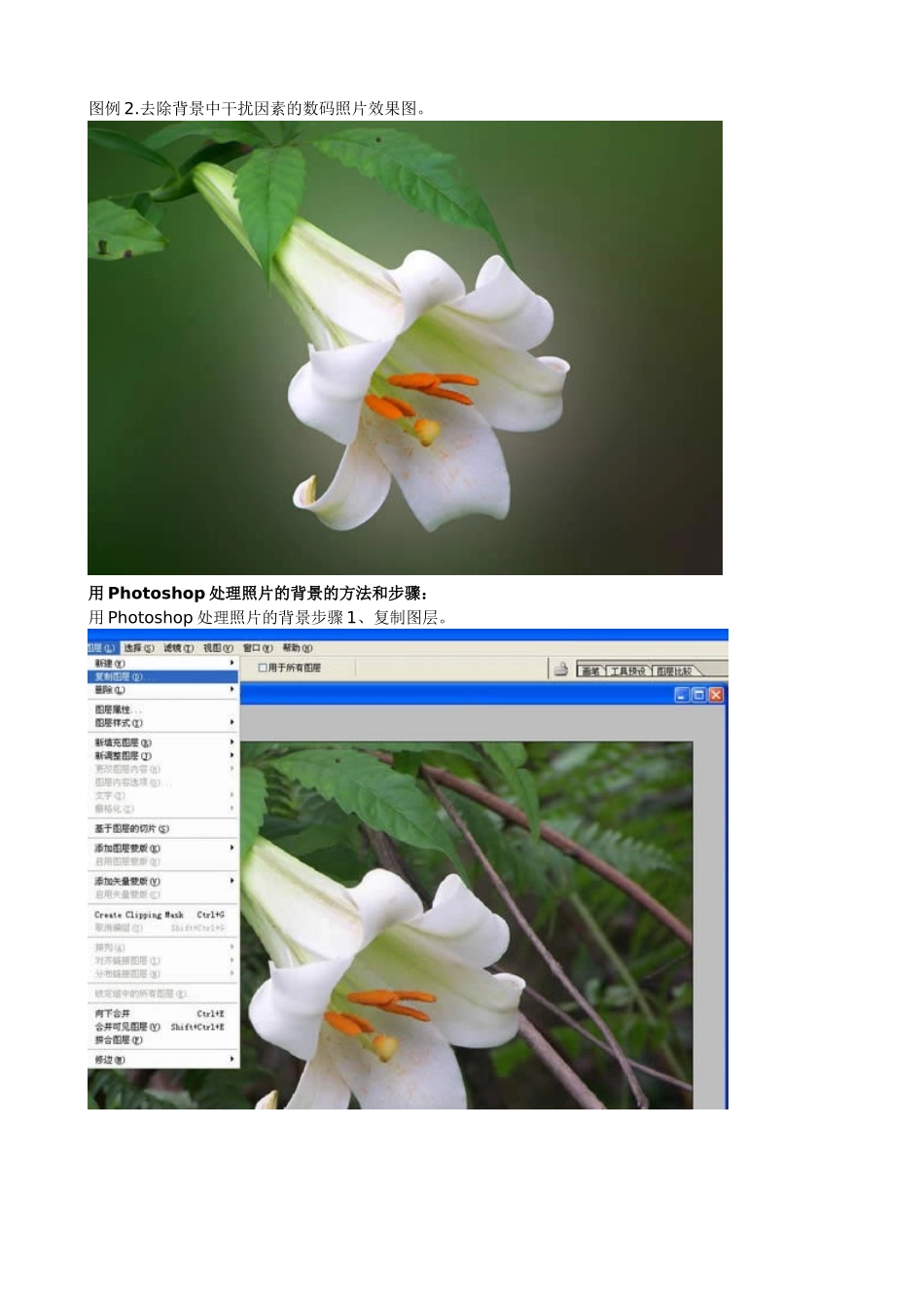 处理照片的背景_第2页