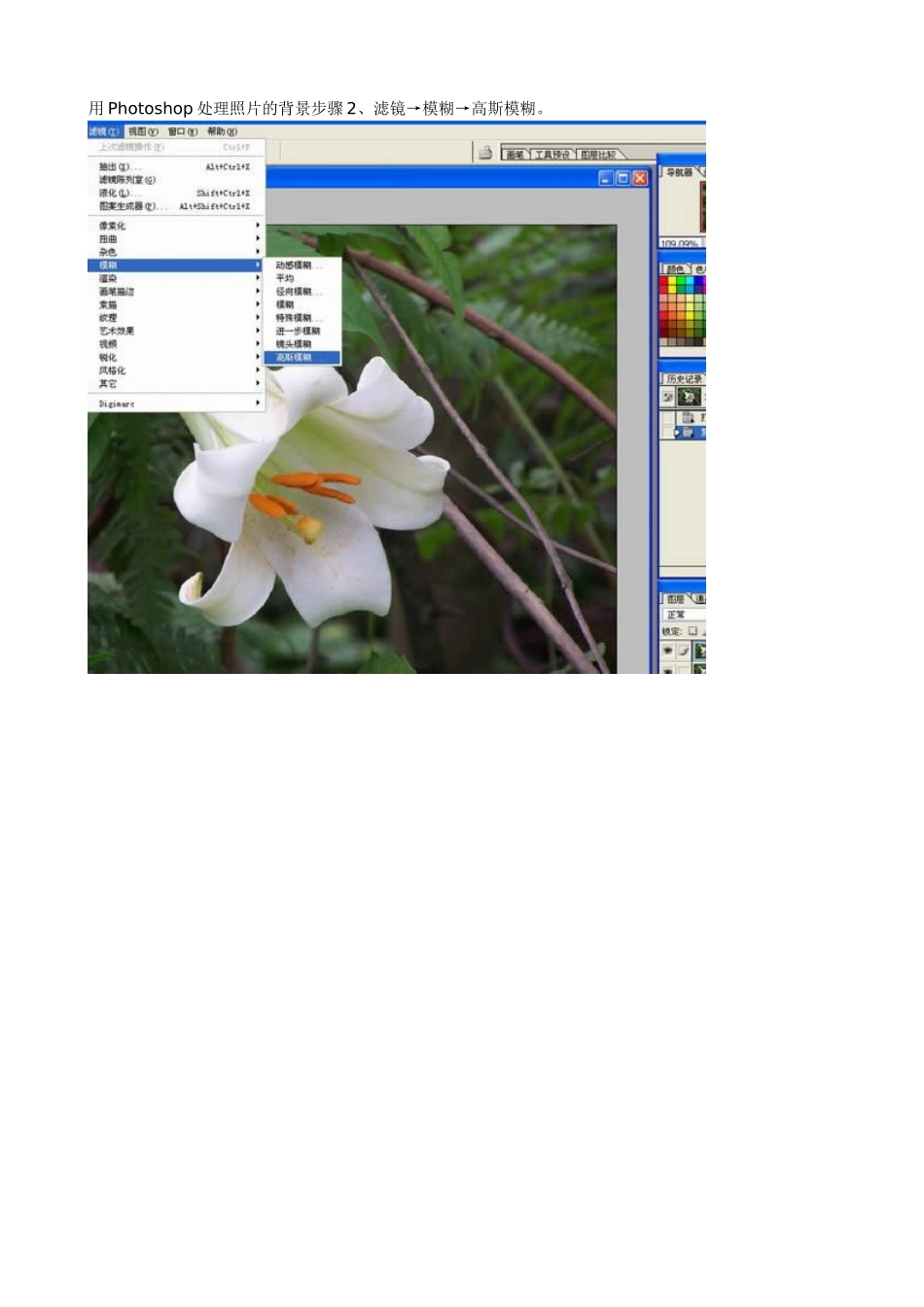 处理照片的背景_第3页