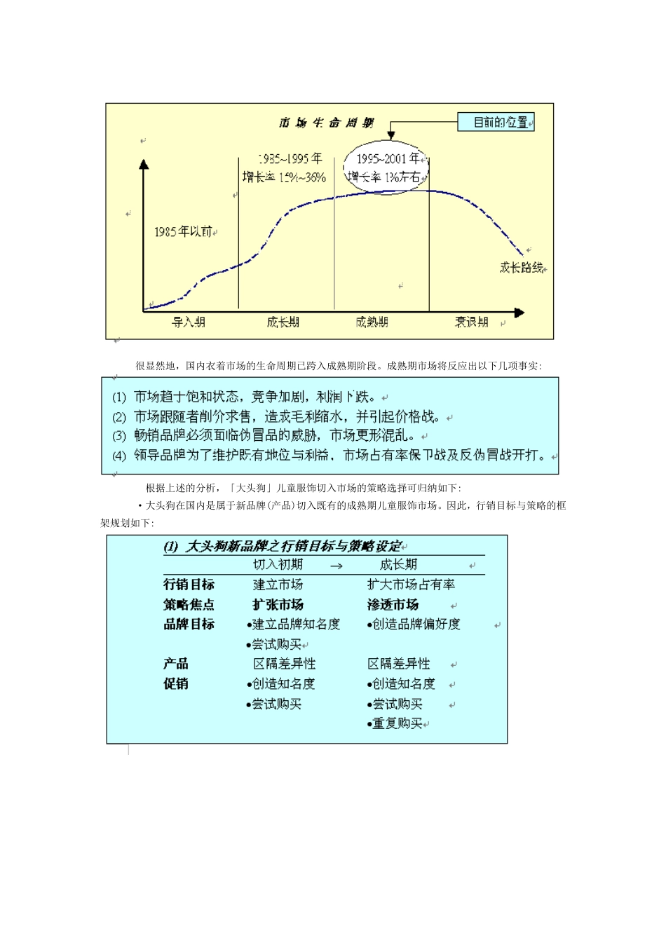 大头狗儿童服饰营销计划_第3页