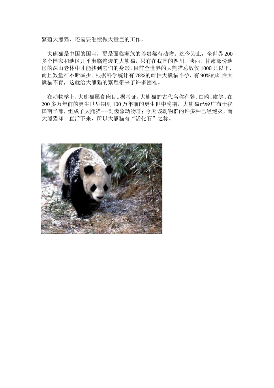 大熊猫生活习性_第2页