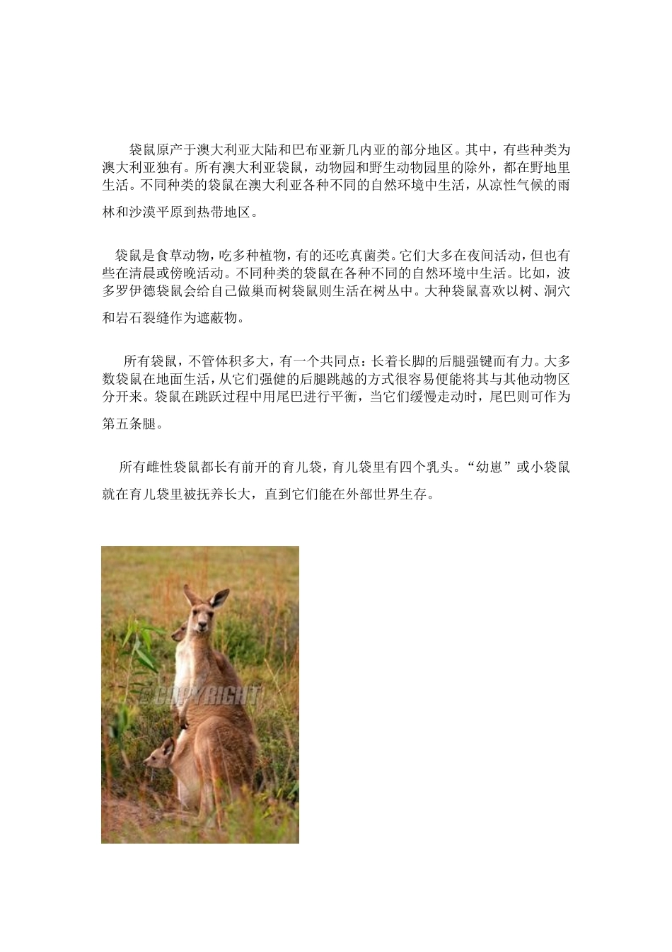 大熊猫生活习性_第3页