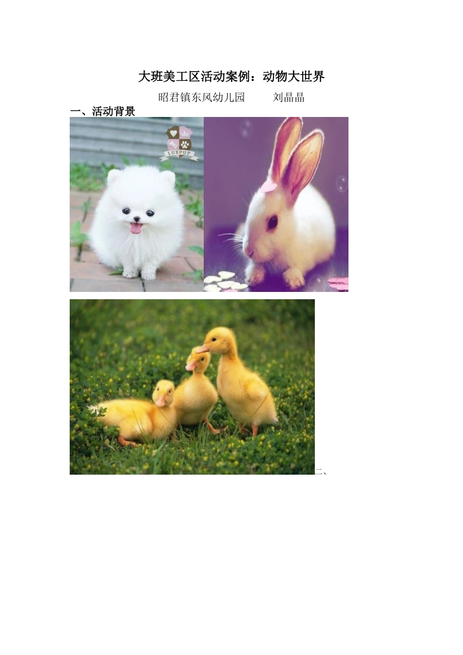 大班美工区活动案例_第1页