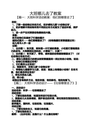 大班哪儿去了教案