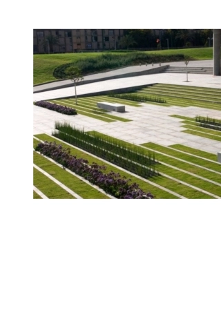 大学入口广场景观设计