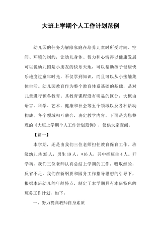 大班上学期个人工作计划范例