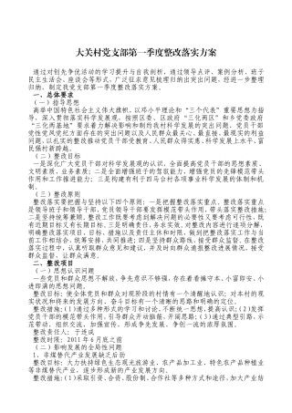 大关村党组织整改落实方案