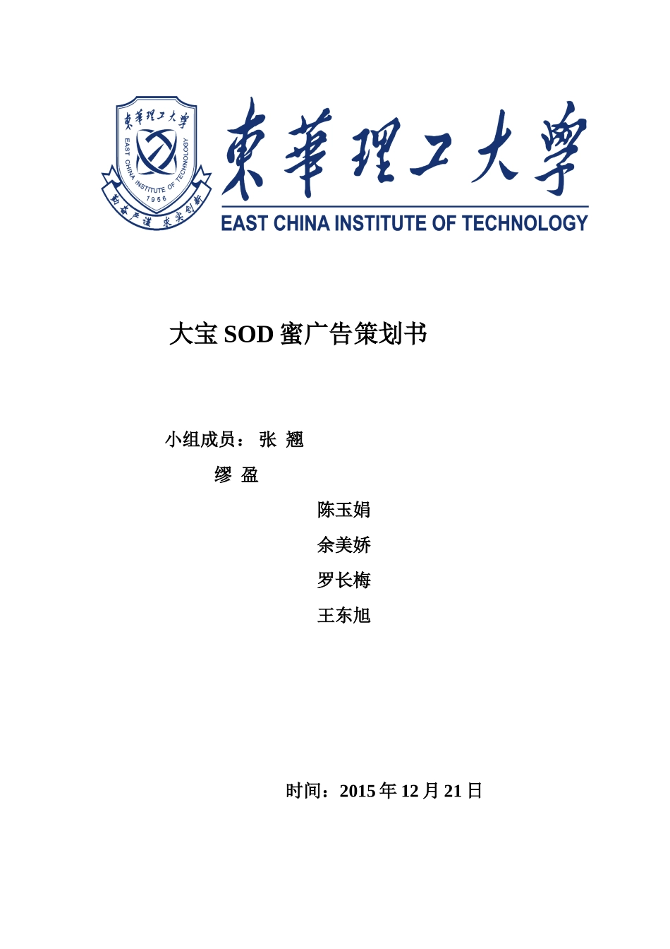 大宝广告策划书_第1页