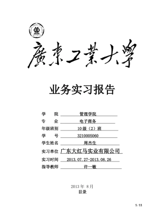 大红马实习报告
