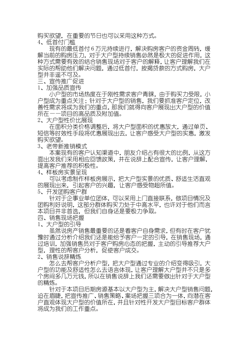 大户型营销策略思路建议_第2页