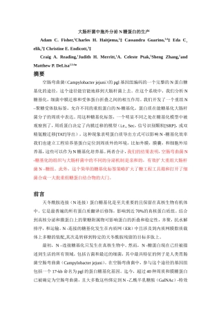 大肠杆菌中胞外分泌N糖蛋白的生产