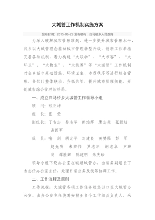 大城管工作机制实施方案