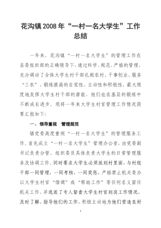 大学生村官-2008年工作总结