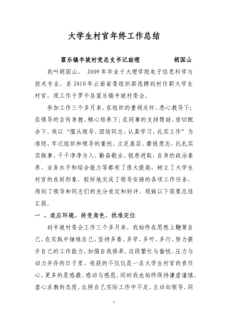 大学生村官年终工作总结