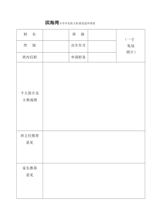 大队委竞选申请表