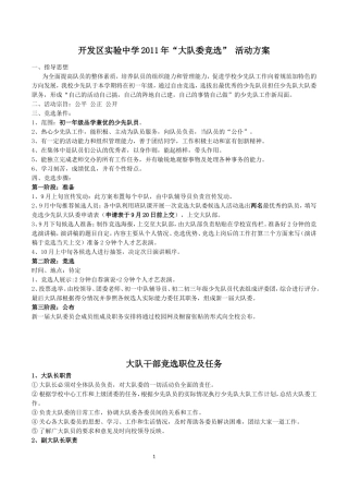 大队委选举方案