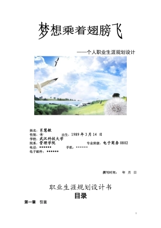 大学生职业生涯规划设计大赛--获奖作品