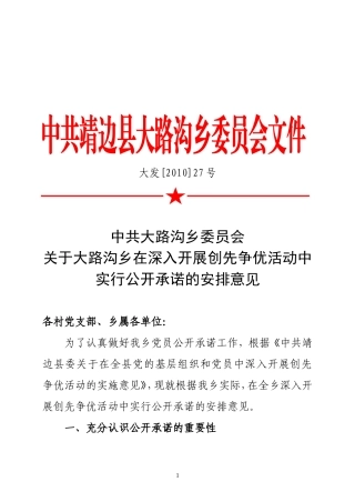 大发创先争优公开承诺的安排意见