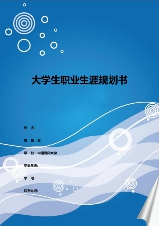 大学生职业生涯规划书(同名24233)