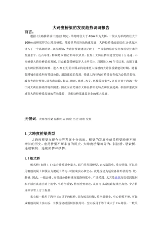大跨度桥梁的发展趋势调研报告