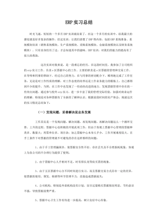 大学生公司ERP实习总结